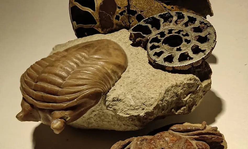 Музей "Мир камня"